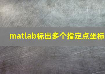 matlab标出多个指定点坐标