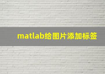 matlab给图片添加标签