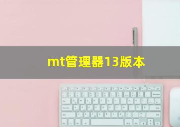 mt管理器13版本