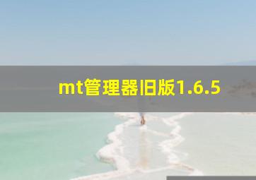 mt管理器旧版1.6.5