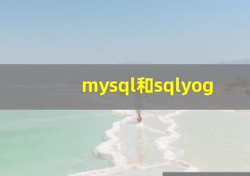 mysql和sqlyog