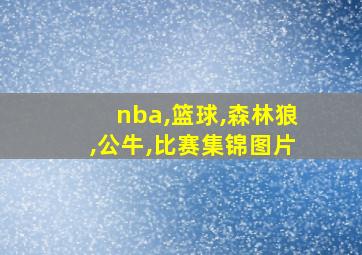 nba,篮球,森林狼,公牛,比赛集锦图片