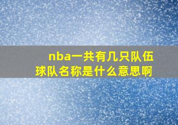 nba一共有几只队伍球队名称是什么意思啊