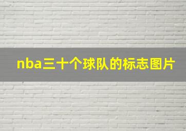 nba三十个球队的标志图片