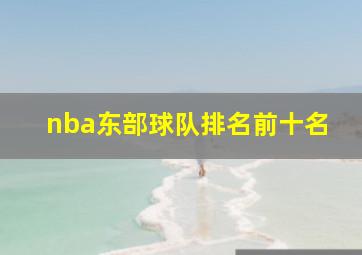 nba东部球队排名前十名