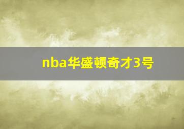 nba华盛顿奇才3号