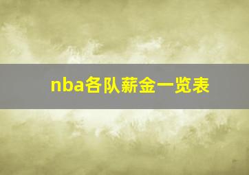 nba各队薪金一览表