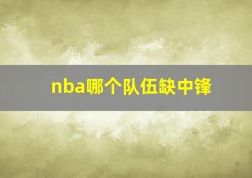 nba哪个队伍缺中锋