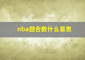 nba回合数什么意思