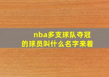 nba多支球队夺冠的球员叫什么名字来着