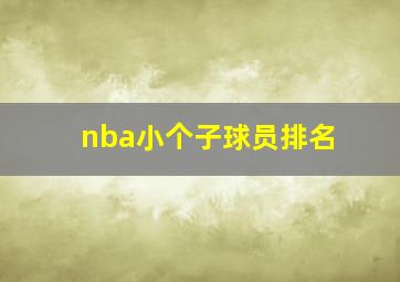 nba小个子球员排名