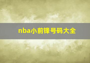 nba小前锋号码大全