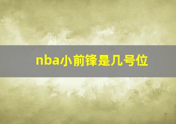 nba小前锋是几号位