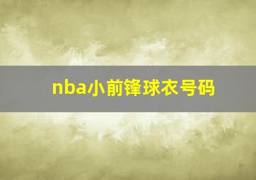 nba小前锋球衣号码