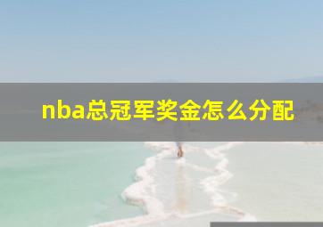 nba总冠军奖金怎么分配