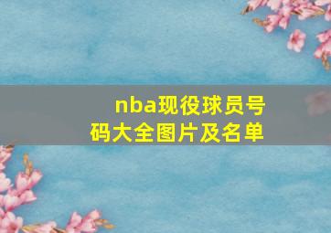 nba现役球员号码大全图片及名单