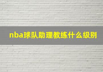 nba球队助理教练什么级别