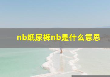 nb纸尿裤nb是什么意思