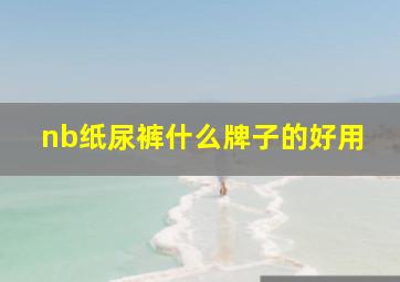 nb纸尿裤什么牌子的好用