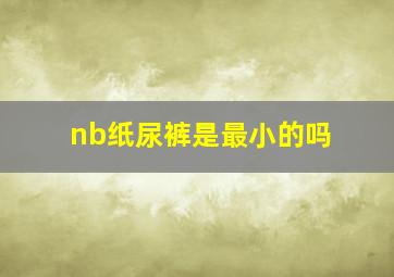 nb纸尿裤是最小的吗