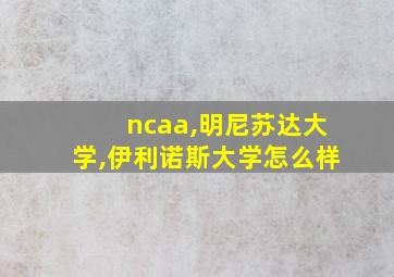 ncaa,明尼苏达大学,伊利诺斯大学怎么样