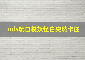 nds玩口袋妖怪白突然卡住