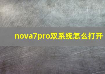 nova7pro双系统怎么打开