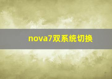 nova7双系统切换