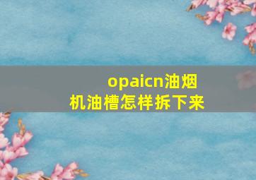 opaicn油烟机油槽怎样拆下来