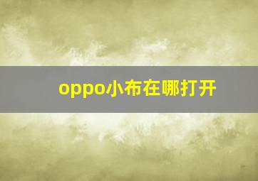 oppo小布在哪打开