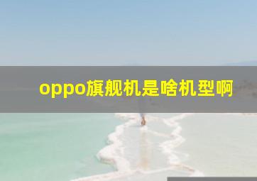 oppo旗舰机是啥机型啊