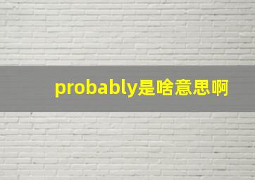 probably是啥意思啊