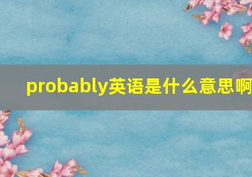 probably英语是什么意思啊