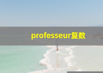 professeur复数