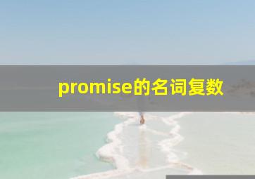 promise的名词复数