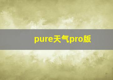 pure天气pro版