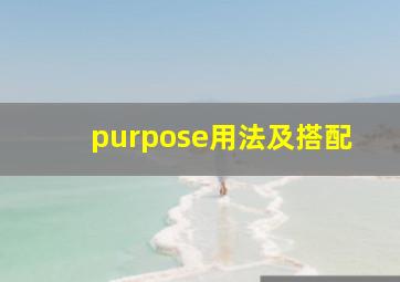 purpose用法及搭配