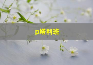 p塔利班