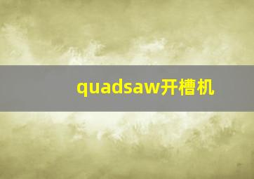 quadsaw开槽机