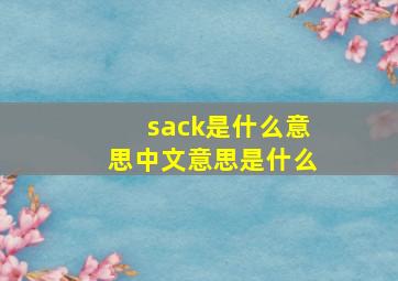 sack是什么意思中文意思是什么