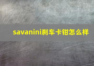 savanini刹车卡钳怎么样