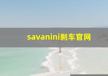 savanini刹车官网