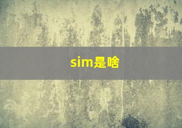 sim是啥