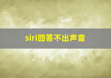 siri回答不出声音