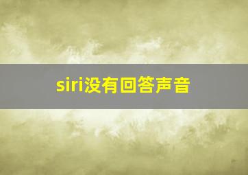 siri没有回答声音