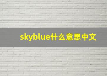 skyblue什么意思中文