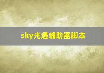 sky光遇辅助器脚本