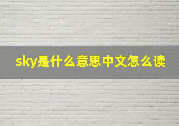 sky是什么意思中文怎么读