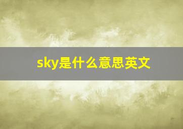 sky是什么意思英文