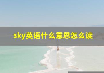 sky英语什么意思怎么读